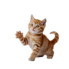 Obraz premium Thumb up hand gesture isolated on transparent background expressing approval and positive feedback