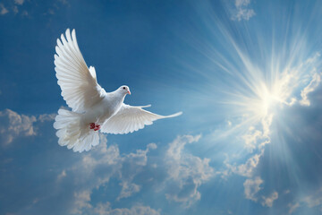 Obraz premium White dove soaring through a bright sky sun rays shining