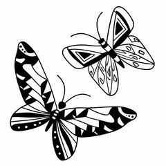 flying butterflies zentangle coloring page 