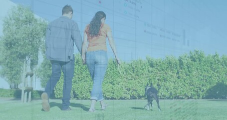 Animation of statistical data processing over rear view of couple walking their dog in the garden - Powered by Adobe