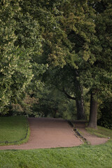 Green park with pathway and oak trees