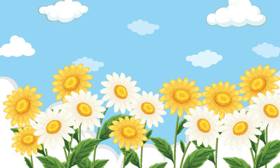 Daisy Flowers in Bloom Under Blue Sky with Clouds