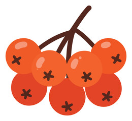 A cluster of bright orange rowan berries attached to a brown stem, depicted in a simple, cartoon style.