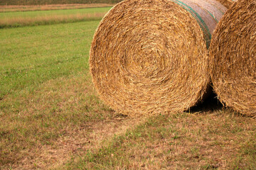 heuballen strohballen auf einer wiese