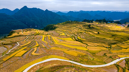 Colorful Terraced Fields In Guizhou During Golden Autumn Season