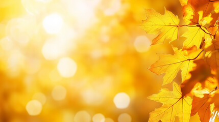 Bright yellow maple leaves illuminated by golden sunlight create a warm autumn backdrop. Gentle bokeh enhances the serene mood, ideal for nature lovers, seasonal decor, and wellness concepts