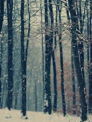 Obraz premium Winter Wonderland Snowy Forest Scene Tranquil Nature Background Peaceful Snowy Trees Cold Season