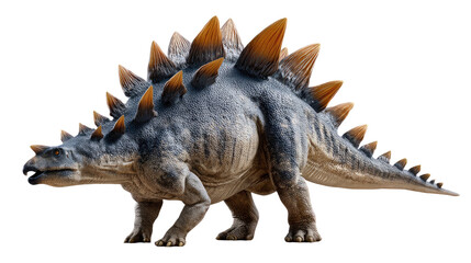 Stegosaurus: A majestic Stegosaurus with its distinctive plates and formidable size strides confidently, symbolizing the grandeur of prehistoric life. 