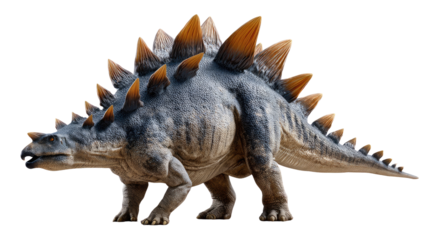 Stegosaurus: A majestic Stegosaurus with its distinctive plates and formidable size strides confidently, symbolizing the grandeur of prehistoric life. 