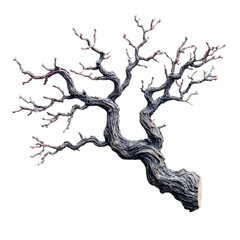 Fototapeta premium Intricate Branches: A Study in Texture and Form