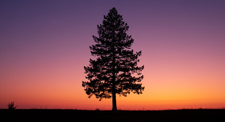 Obraz premium Stunning sunset landscape with silhouetted tree evoking peace, tranquility, and nature's beauty