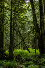 A day trip to Hope, BC, Canada