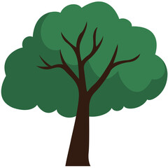 Green leafy tree illustration with full branches, representing summer nature, ecology, growth, outdoor environment, and healthy landscape.
