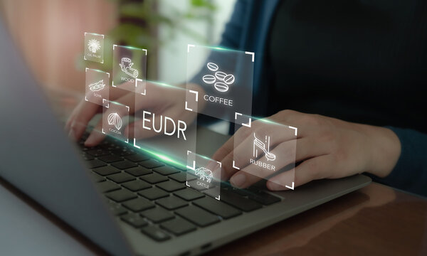 Implementation of the EU Deforestation Regulation (EUDR) concept. Using laptop with icons of regulated commodities; oil palm, soya, wood, cocoa, coffee, cattle, rubber. Traceability, sustainability.