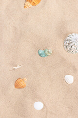 Creative Summer Beach Composition with Seashells on Sandy Shore for Design