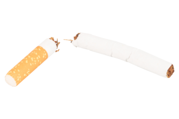 Broken Cigarette with Tobacco Spilling Out on White Background