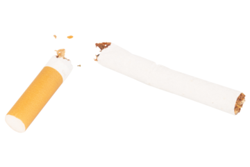 Broken Cigarette with Tobacco Spilling Out on White Background