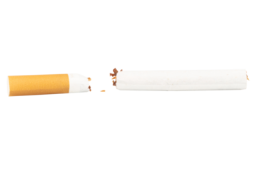 Broken Cigarette with Tobacco Spilling Out on White Background