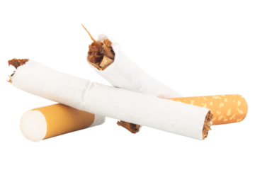Broken Cigarette with Tobacco Spilling Out on White Background