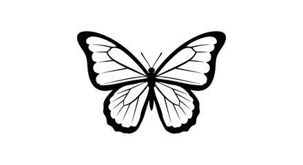 Fototapeta premium elegant black butterfly illustration nature, insect, wings, monochrome design graphic