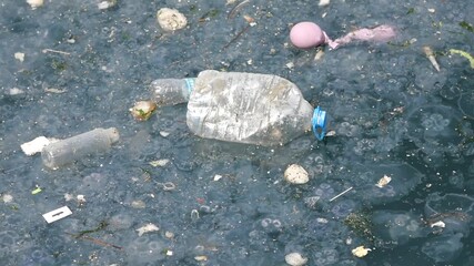 Plastic pollution in ocean waters impacts marine life