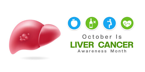 October is Liver Cancer month. Liver, food, no alcohol and more. Suitable for posters, banners and social media. White background.
