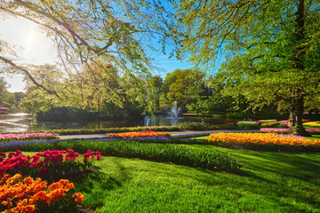 Park Lawn with Flower Beds Outdoor Nature Photography
