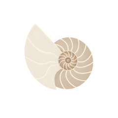 Obraz premium Depiction of a nautilus shell showcasing its spiral structure for housing and protection of the marine cephalopod mollusk