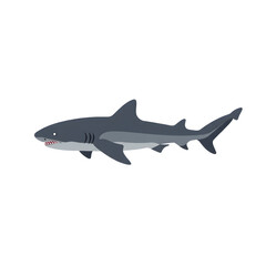 Obraz premium Digital illustration of a shark swimming, showcasing its fins and teeth, representing ocean life and aquatic predators in a graphic style.