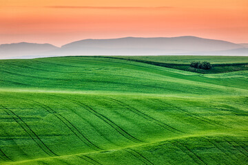 Dusk Pasture Distant View Landscape Photography