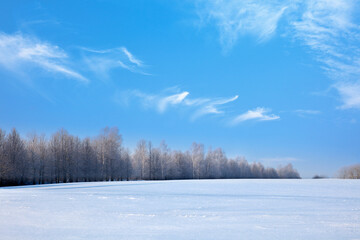 Winter Snowfield Distant View Landscape Photography