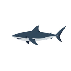 Obraz premium Shark illustration swims in the ocean for predatory purposes and feeding on smaller marine animals with its sharp teeth and strong jaws