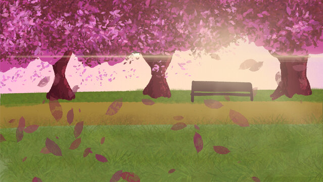 Cherry Blossom Trees with Bench in Spring Illustration