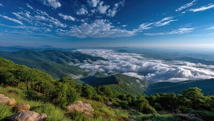 Naklejka premium Misty mountain vista at sunrise. Lush green hills, thick clouds, and a vibrant blue sky meet at a high vantage point