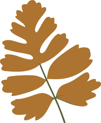 Fototapeta premium vector illustration of a leaf in earth color