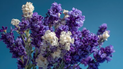 Close-up of a vibrant bouquet of lavender and white flowers against a teal background