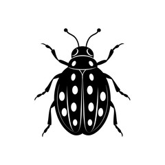 Bright Red Ladybug Insect Illustration  