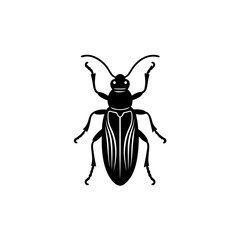 Rare Rosalia Longicorn Beetle Vector Design  