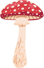 Amanita Mushroom Flat Vector Illustration Isolated on White. Poisonous Fungus Design for Books, Educational Material, Sticker, Print. Ideal for Nature Guide, Fairy Tale Illustration, Forest Theme