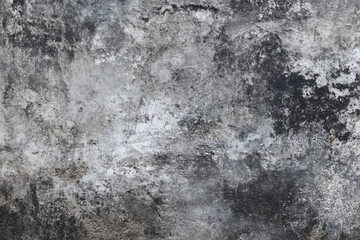 Obraz premium Weathered wall texture dark gray white grunge background