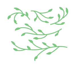 An illustration of a collection Minimalist hand drawn foliage branches in soft green color. Perfect for patterns, fabric, invitations, backgrounds, and decorative design elements.