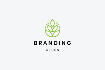 Abstract modern green  leaf colorful logo