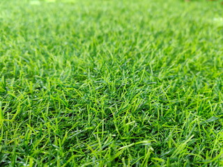 Close-up detail of lush artificial grass texture