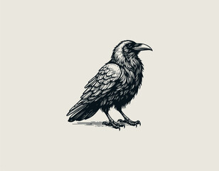 Intelligent and creative raven logo perched on an open book, symbolizing wisdom and knowledge. Education concept