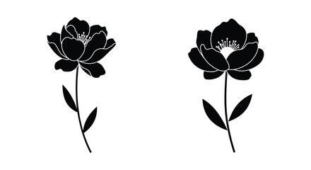 Black silhouettes of peony flowers with white outlines on plain background © MALA