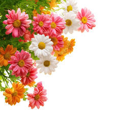 Colorful flower bouquet