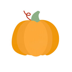 pumpkin isolated on white background
