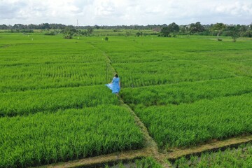 A young woman in a flowing blue dress walking along a narrow path among lush green rice fields in Bali, captured from a drone