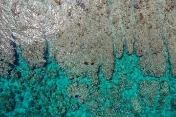 Aerial top-down view of a vibrant ocean reef with crystal turquoise water, where people are swimming and exploring