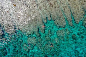 Aerial top-down view of a vibrant ocean reef with crystal turquoise water, where people are swimming and exploring